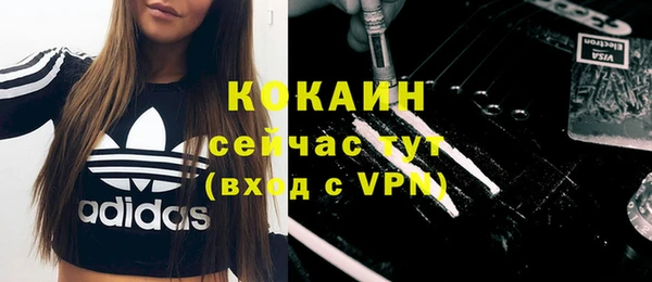 apvp Кукмор