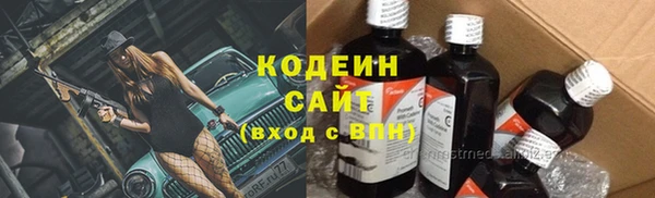 apvp Кукмор