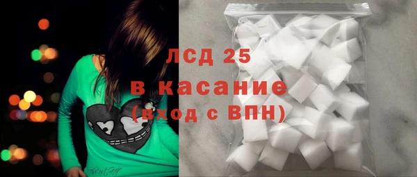 ГАЛЛЮЦИНОГЕННЫЕ ГРИБЫ Кулебаки