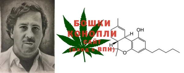 apvp Кукмор