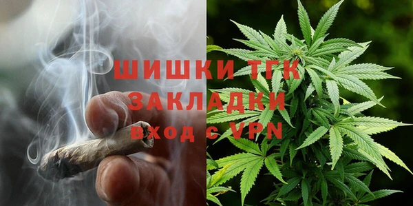 apvp Кукмор