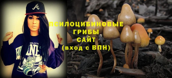 ГАЛЛЮЦИНОГЕННЫЕ ГРИБЫ Кулебаки