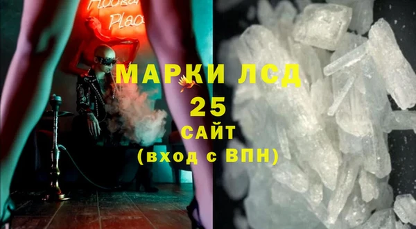 ГАЛЛЮЦИНОГЕННЫЕ ГРИБЫ Кулебаки