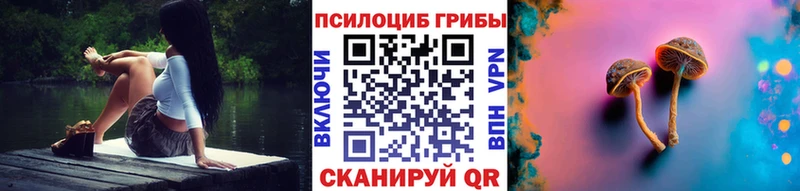 Купить где  Димитровград  Галлюциногенные грибы Magic Shrooms 